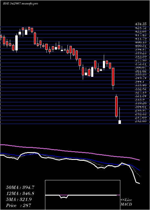  Daily chart Princepipe