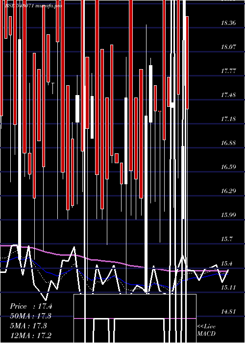  Daily chart 07agg