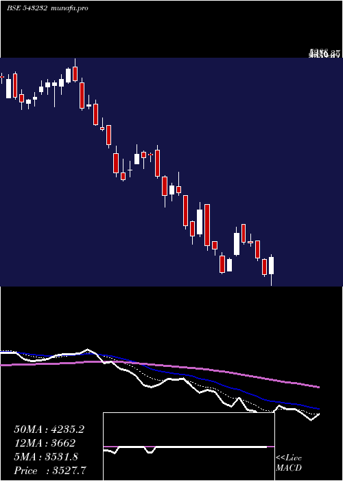  Daily chart Cams