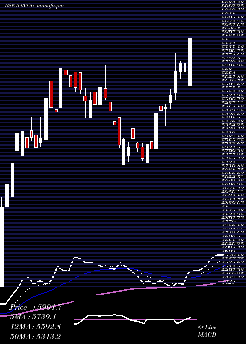 Daily chart Craftsman