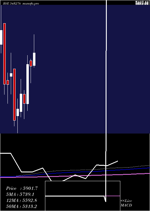 monthly chart Craftsman