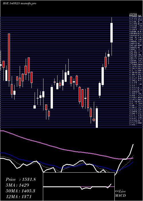 Daily chart Rolexrings