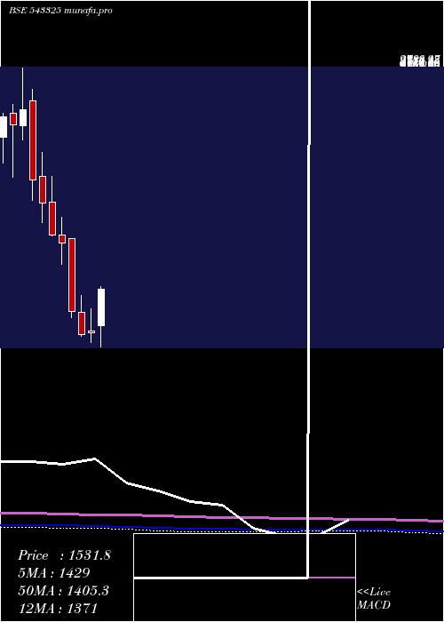 monthly chart Rolexrings