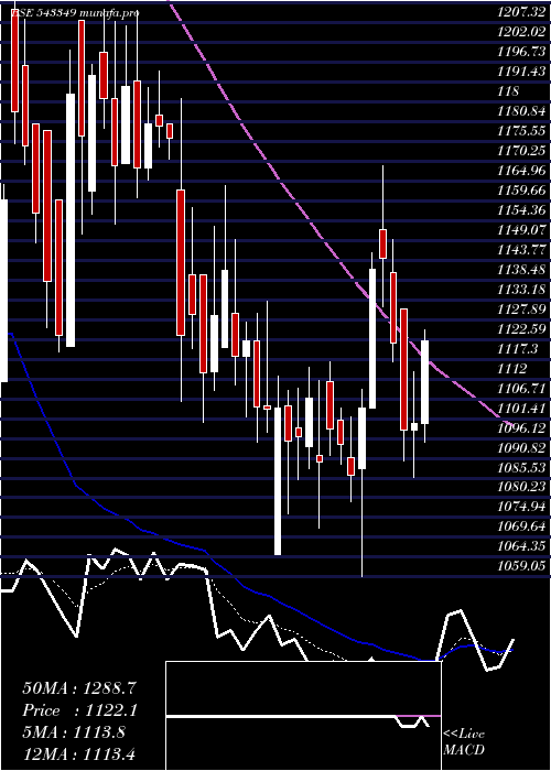 Daily chart Amiorg