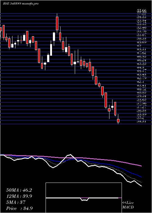  Daily chart Sigachi