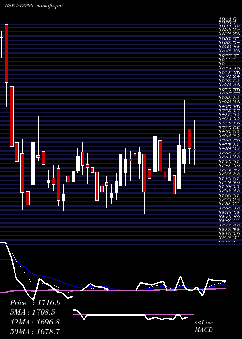  Daily chart Policybzr