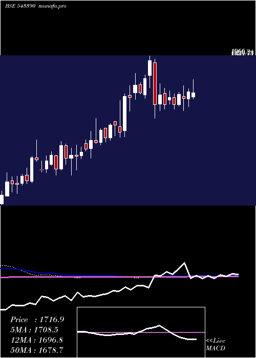  weekly chart Policybzr