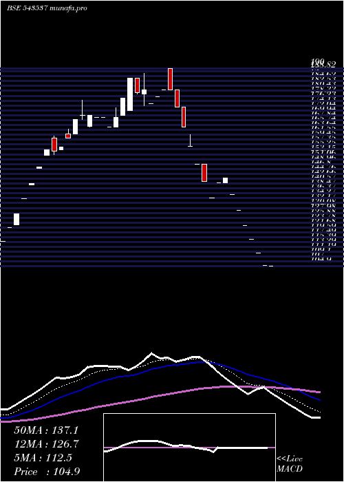  Daily chart Scarnose