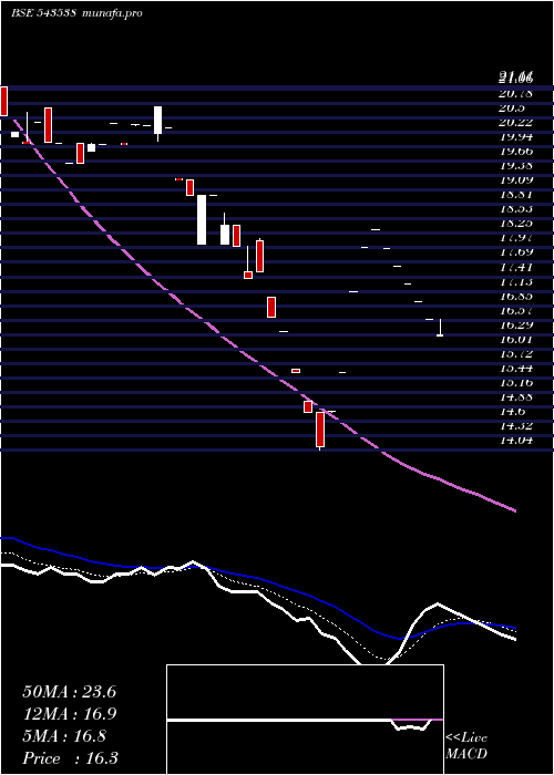  Daily chart Goel