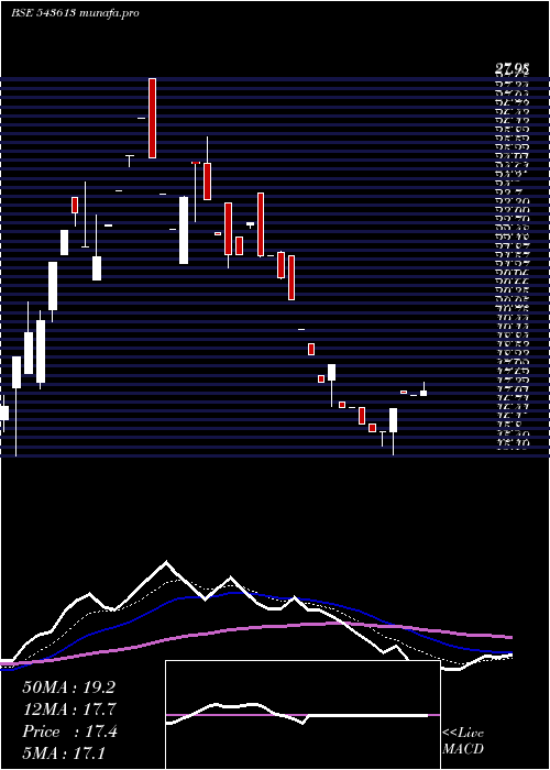  Daily chart Mafia