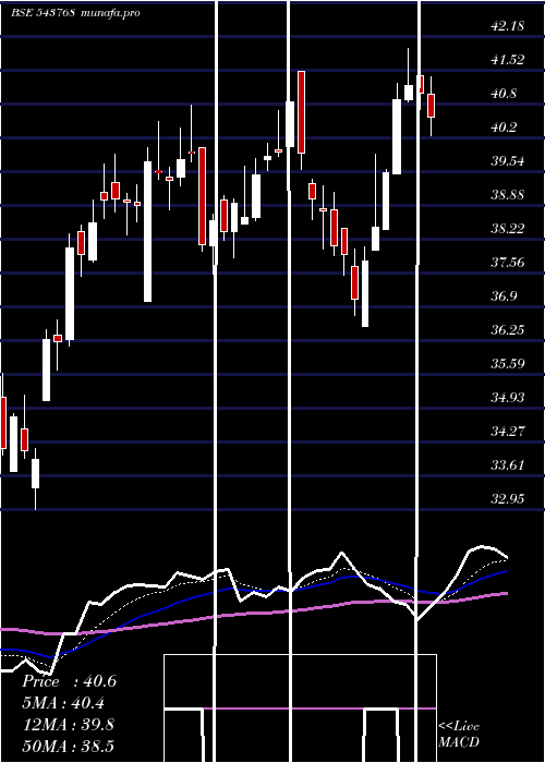 Daily chart Nslnisp