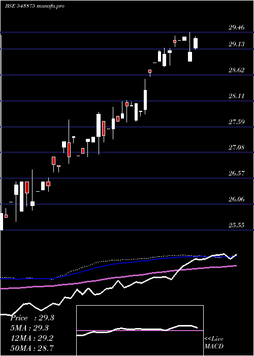 weekly chart Mags813etf