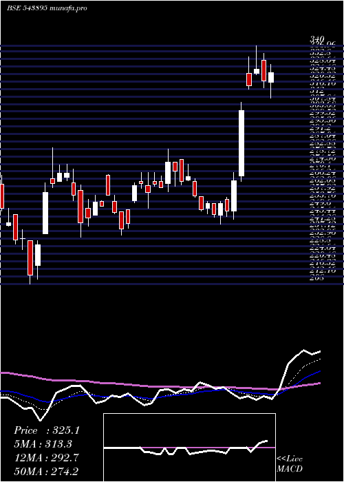 Daily chart Exhicon