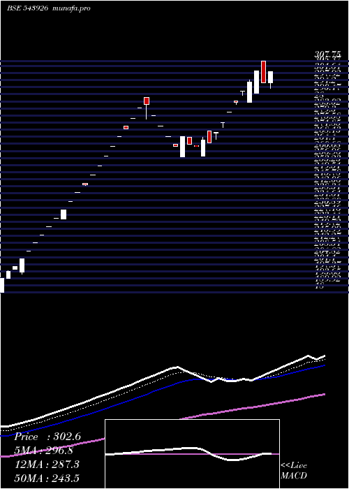  Daily chart Bizotic