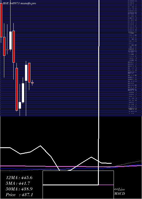monthly chart Bondada
