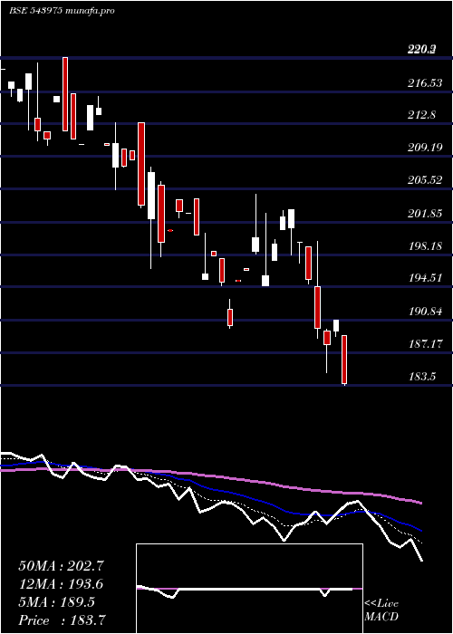  Daily chart Nifmid150