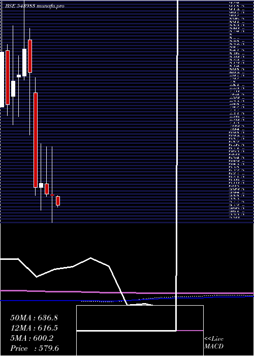 monthly chart Emslimited