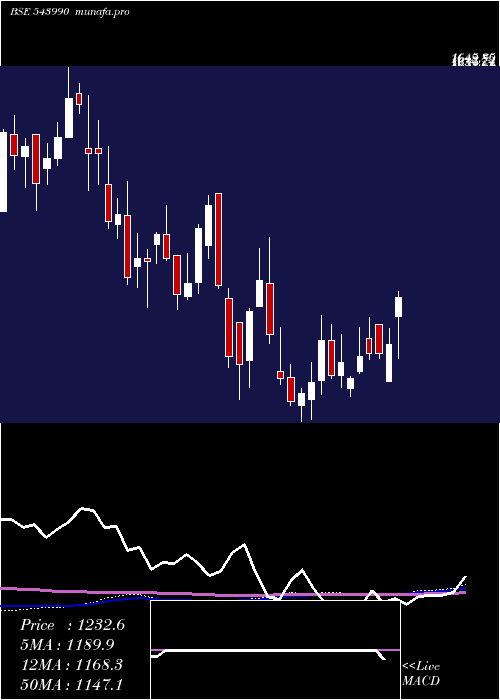 weekly chart Signature