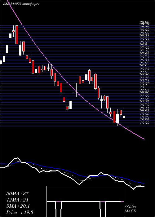  Daily chart Motisons