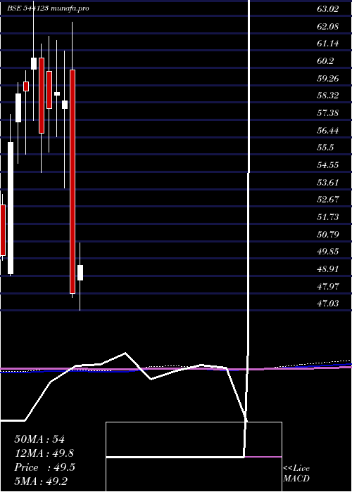  monthly chart Licnmid100