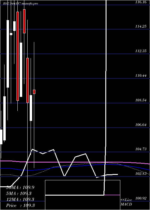 monthly chart Bhinvit
