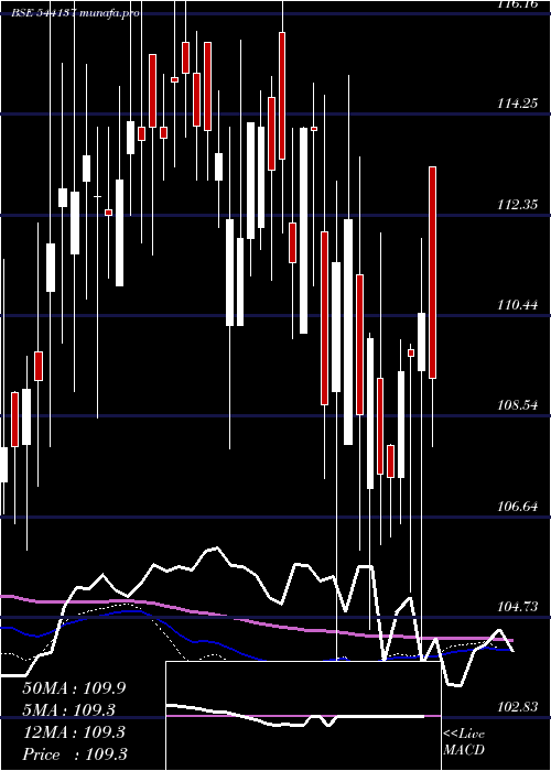 weekly chart Bhinvit