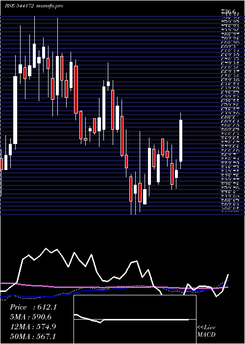 weekly chart Indgn