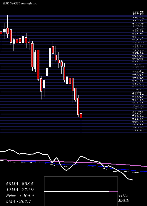  weekly chart CeigallIndia