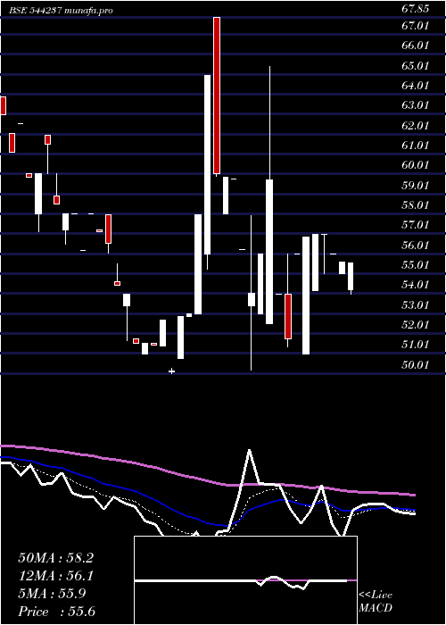  Daily chart RapidMultimodal