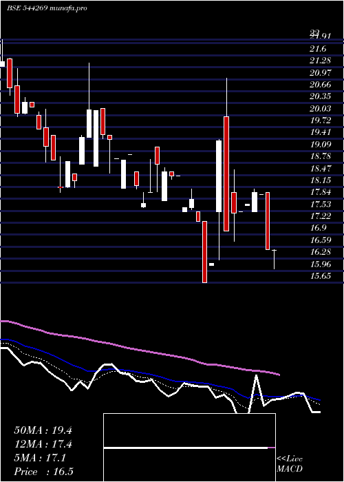  Daily chart NeopolitanPizza