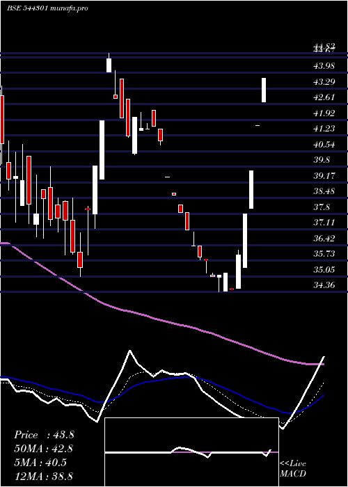 Daily chart OdigmaConsultancy