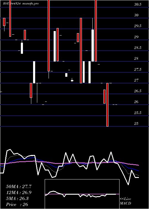 Daily chart CitichemIndia