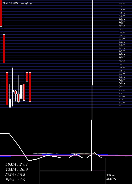  monthly chart CitichemIndia