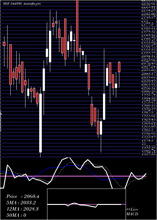 Daily chart NetworkPeople