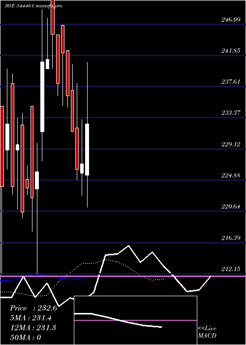 Daily chart EuroPanel