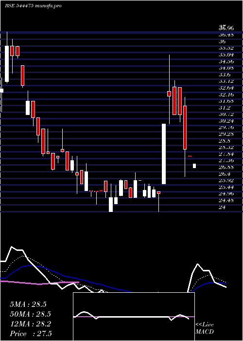  Daily chart EssexMarine