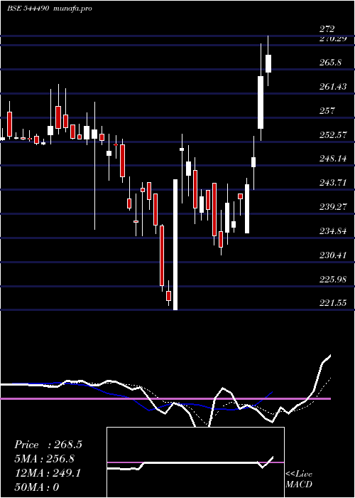 Daily chart ShreejiShipping