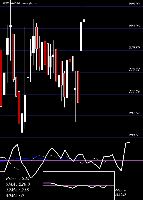  Daily chart PaceDigitek