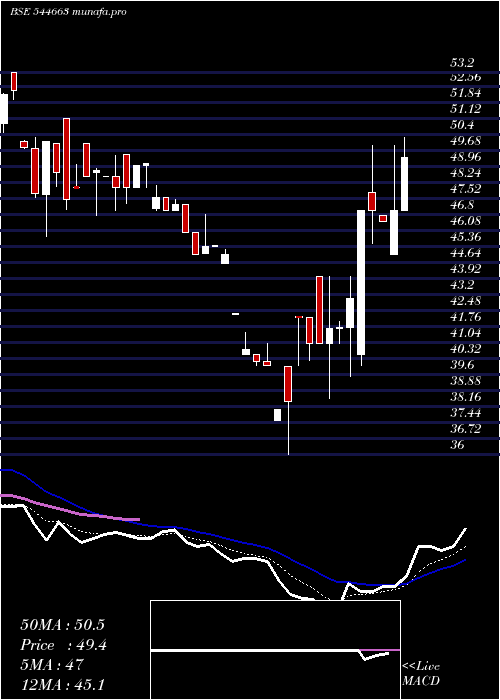  Daily chart NeptuneLogitek