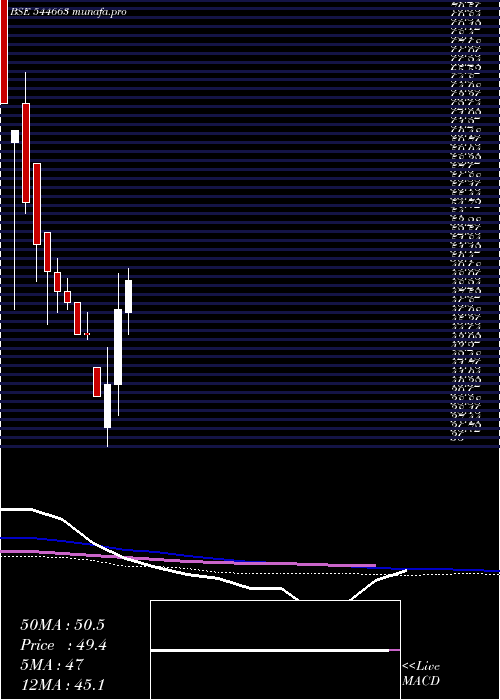 weekly chart NeptuneLogitek