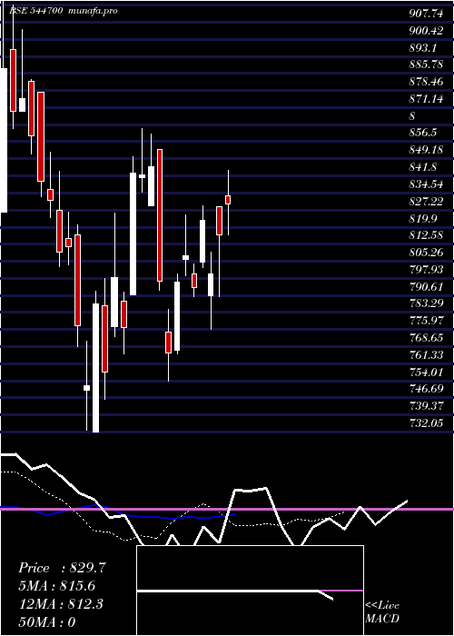  Daily chart FractalAnalytics