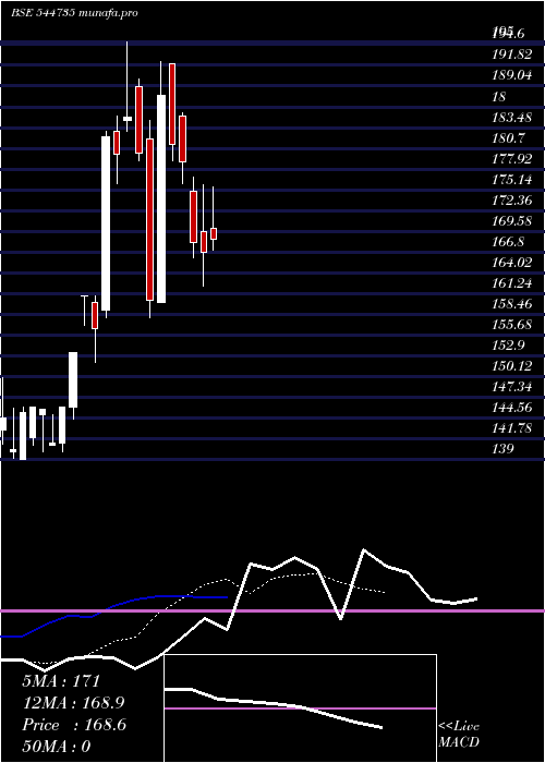  Daily chart NovusLoyalty