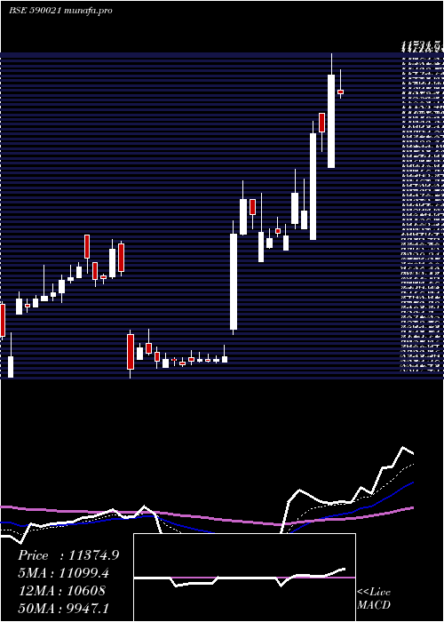  Daily chart BharatRa