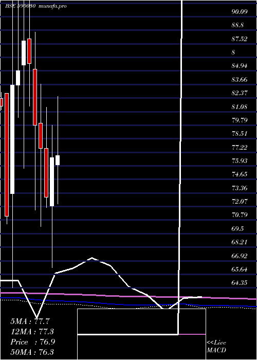  monthly chart SouthPet