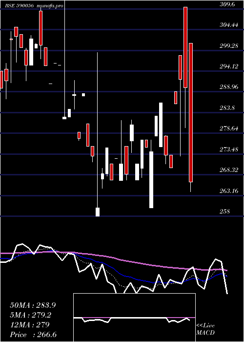  Daily chart SalonaCotsp