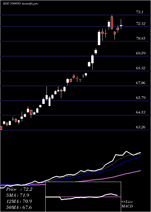  Daily chart Goldbees