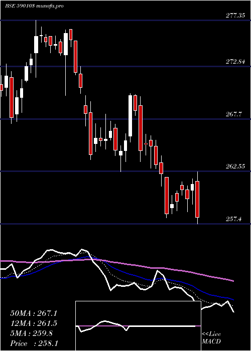  Daily chart Niftybees