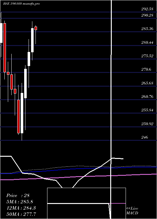 monthly chart Niftybees