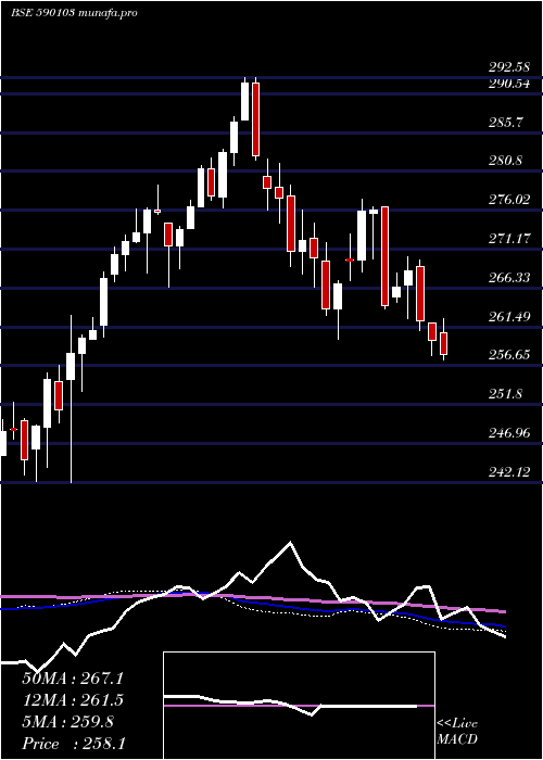  weekly chart Niftybees