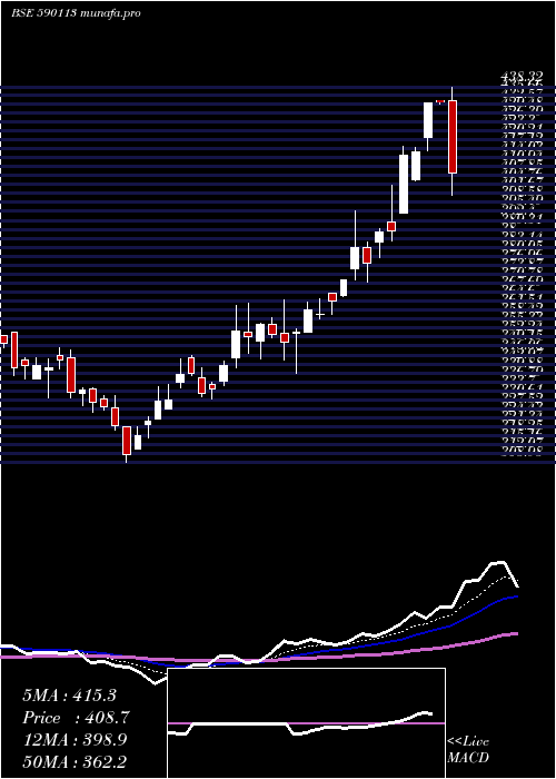  Daily chart Hngsngbees